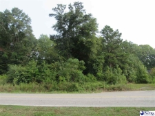 Others property for sale in Florence, SC