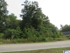 Listing Image #2 - Others for sale at TBD National Cemetery Rd., Florence SC 29506