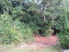 Listing Image #3 - Others for sale at TBD National Cemetery Rd., Florence SC 29506