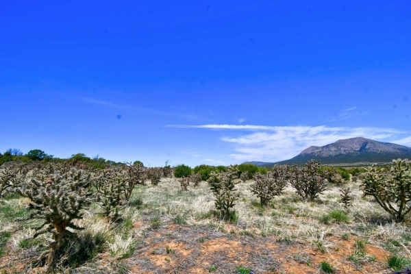 Listing Image #1 - Others for sale at 201 Entranosa/ LOT 2 Road, Edgewood NM 87015