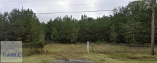 Listing Image #2 - Land for sale at 6228 E East Oglethorpe Highway Highway, Midway GA 31320