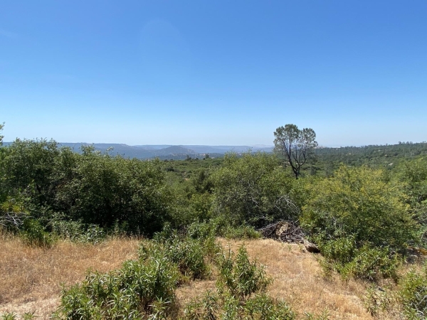 Listing Image #1 - Others for sale at 38.31AC Flying O Ranch Rd., Coarsegold CA 93614