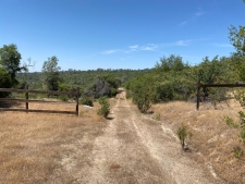 Listing Image #3 - Others for sale at 38.31AC Flying O Ranch Rd., Coarsegold CA 93614