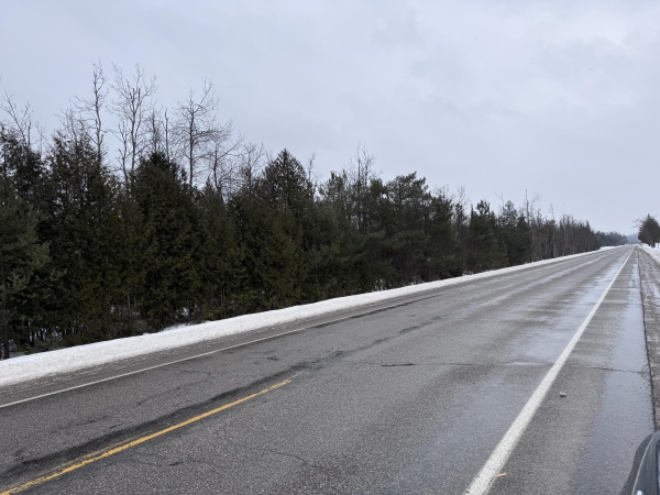 Listing Image #1 - Others for sale at V/L - 10ac Old 27 N Road, Vanderbilt MI 49795