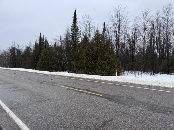 Listing Image #3 - Others for sale at V/L - 10ac Old 27 N Road, Vanderbilt MI 49795