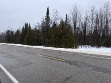 Listing Image #3 - Others for sale at V/L - 10ac Old 27 N Road, Vanderbilt MI 49795