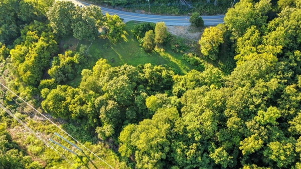 Listing Image #3 - Land for sale at 1986 Highway 76, Adams TN 37010