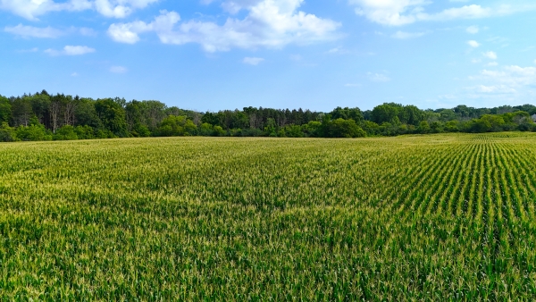 Listing Image #1 - Land for sale at Lt2, Racine WI 53406 Listing Image #1 - Land for sale at Lt2, Racine WI 53406