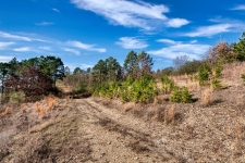 Listing Image #2 - Others for sale at 2600 Block Park Avenue, Lot 2L, Hot Springs AR 71901