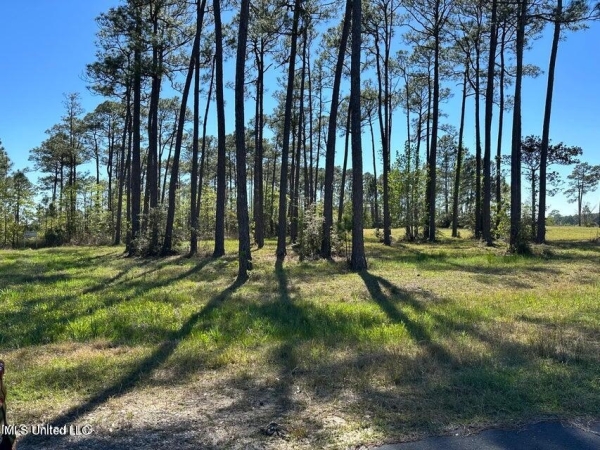 Listing Image #1 - Land for sale at 00 Hummingbird Lane, Biloxi MS 39532