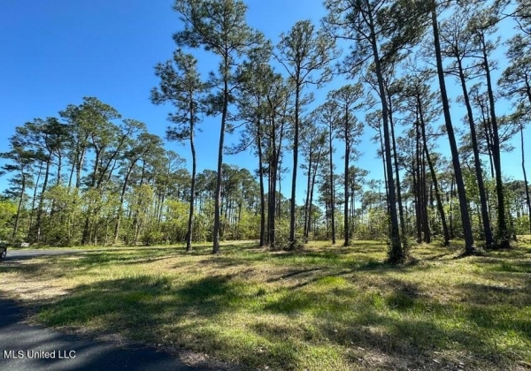 Listing Image #3 - Land for sale at 00 Hummingbird Lane, Biloxi MS 39532