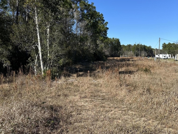 Listing Image #3 - Land for sale at 7900 Us-90, Moss Point MS 39562