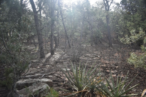 Listing Image #2 - Others for sale at 3 Entrada Place, Tijeras NM 87059 Listing Image #2 - Others for sale at 3 Entrada Place, Tijeras NM 87059