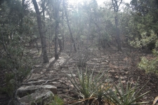 Listing Image #2 - Others for sale at 3 Entrada Place, Tijeras NM 87059