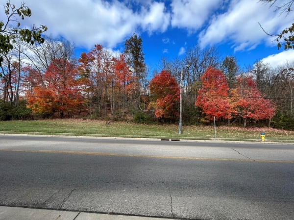 Listing Image #2 - Land for sale at 1710 Mitchell Blvd, Springfield OH 45503