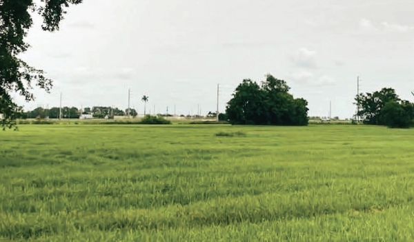 Listing Image #1 - Land for sale at 2444 STATE ROAD 15 (US 441), Belle Glade FL 33430