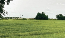 Land property for sale in Belle Glade, FL