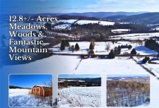 Others property for sale in Hamden, NY