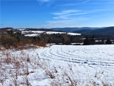 Listing Image #3 - Others for sale at Lot 41-42 Hamden Hill Road, Hamden NY 13782