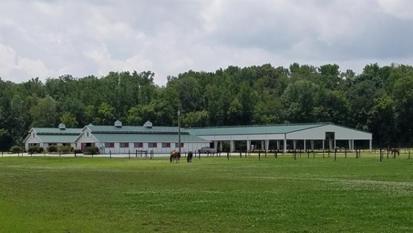 Listing Image #1 - Others for sale at 29146 Capshaw Rd, Harvest AL 35749