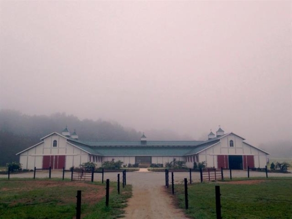 Listing Image #2 - Others for sale at 29146 Capshaw Rd, Harvest AL 35749