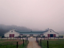 Listing Image #2 - Others for sale at 29146 Capshaw Rd, Harvest AL 35749