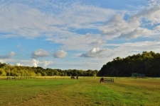 Listing Image #3 - Others for sale at 29146 Capshaw Rd, Harvest AL 35749
