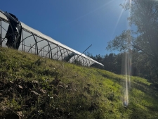 Listing Image #3 - Land for sale at 15806 Perimeter Road, Grass Valley CA 95949