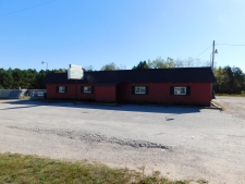 Listing Image #2 - Retail for sale at 9567 Chippewa Highway, Bear Lake MI 49614