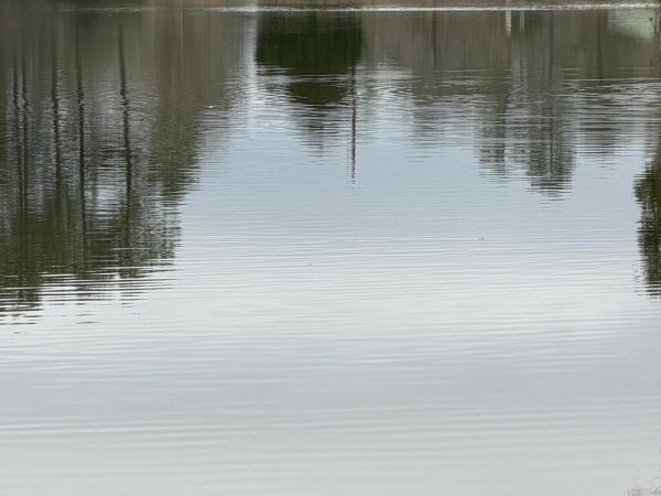 Listing Image #1 - Land for sale at 00 Lorraine Road, Biloxi MS 39532