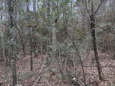 Listing Image #2 - Land for sale at 00 Lorraine Road, Biloxi MS 39532