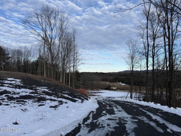 Listing Image #1 - Land for sale at 151 Williams Road, Argyle NY 12828