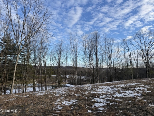 Listing Image #2 - Land for sale at 151 Williams Road, Argyle NY 12828