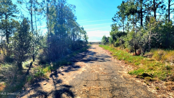 Listing Image #3 - Land for sale at 0 Grand Plains Bayou Drive, Bay Saint Louis MS 39520