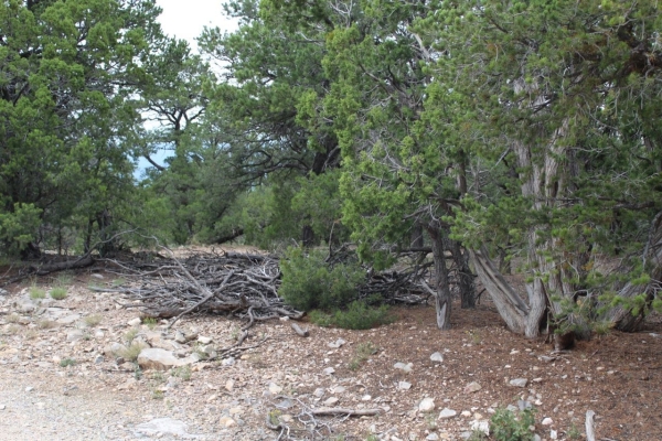 Listing Image #3 - Others for sale at 5 MANZANO Loop, Tijeras NM 87059