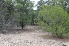 Others for sale in Tijeras, NM