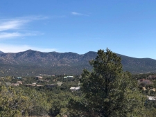 Others property for sale in Sandia Park, NM