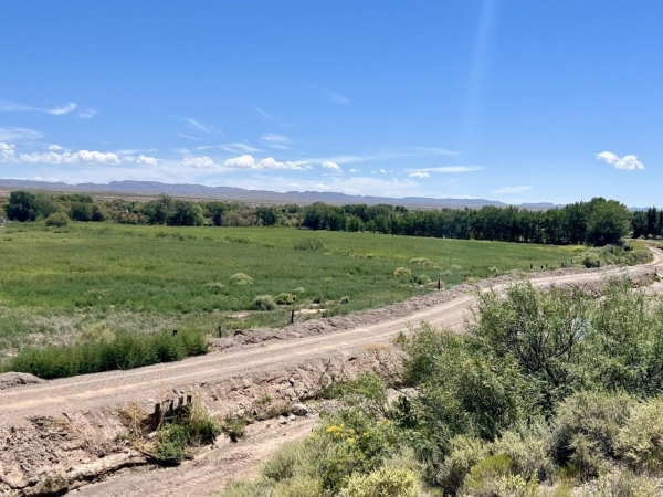 Listing Image #3 - Others for sale at Lemitar Farm, Lemitar NM 87823