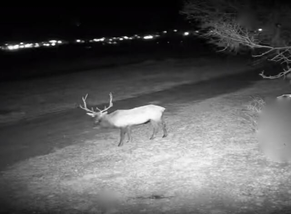 Listing Image #2 - Others for sale at 24 Lee Road, Cuba NM 87013