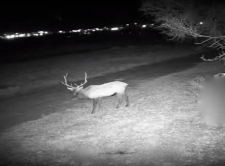 Listing Image #2 - Others for sale at 24 Lee Road, Cuba NM 87013