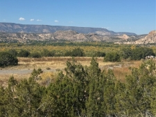 Listing Image #3 - Others for sale at 00 Vacant Land, Ojo Caliente NM 87549
