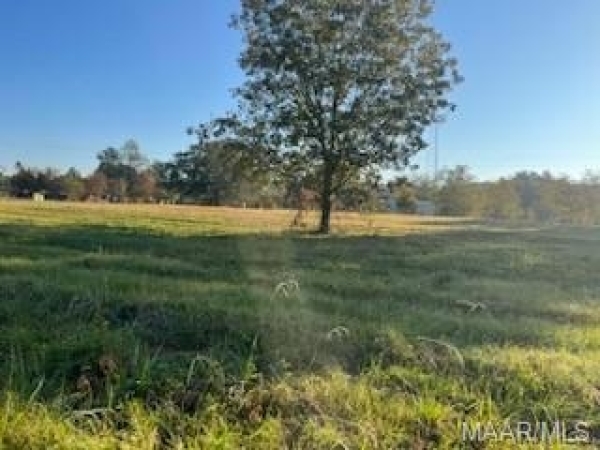 Listing Image #3 - Land for sale at 1 Coosada Parkway, Millbrook AL 36054