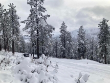 Land for sale in Bayfield, CO