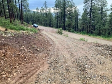 Listing Image #3 - Land for sale at 259 Deer Ridge Drive, Bayfield CO 81122