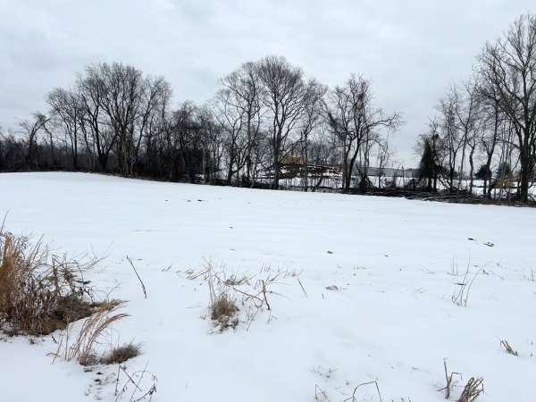 Listing Image #3 - Land for sale at Lot 7 Black Oak Lane, Bowling Green KY 42103