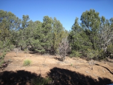 Listing Image #3 - Others for sale at 50 54 56 Juniper Hill Loop, Cedar Crest NM 87008