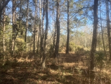 Listing Image #4 - Land for sale at 00 Robertson Blvd, Walterboro SC 29488