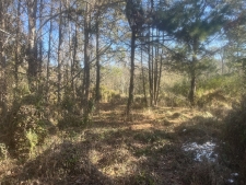 Listing Image #6 - Land for sale at 00 Robertson Blvd, Walterboro SC 29488
