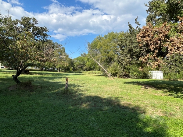 Listing Image #2 - Land for sale at 100 N Agnew, Boyd TX 76023