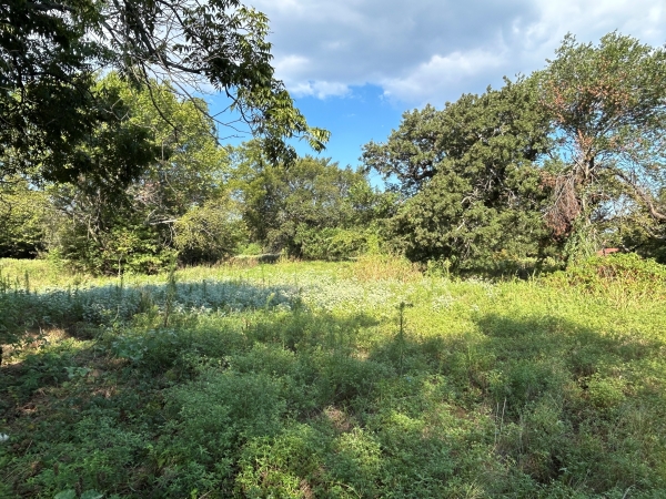 Listing Image #3 - Land for sale at 100 N Agnew, Boyd TX 76023